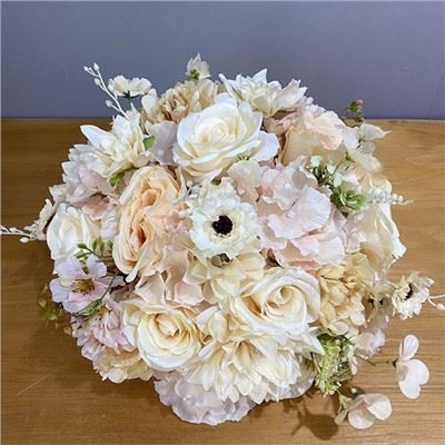 Shaftoli to'y markazi