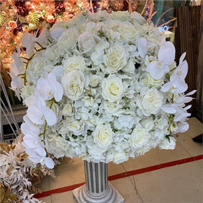 Oq ipak gulining markaziy qismlari