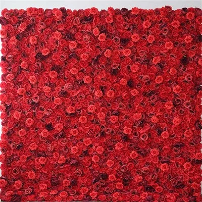 Qizil gul fon